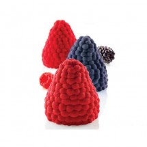Moule Mure et Framboise x5 Silikomart Professional