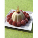 Plaque silicone 24 Briochettes Pavoflex