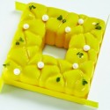 Moule silicone Square Le Torte di Emmanuele Pavoni