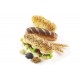 Moule Mini Baguette silicone Silikomart