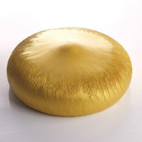 Moule silicone Noisette Cedric Grolet Pavoni