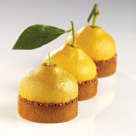 Moule mini Tarte Citron Cedric Grolet Pavoni