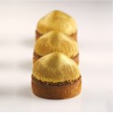 Moule mini Tarte Noisette Cedric Grolet - Pavoni