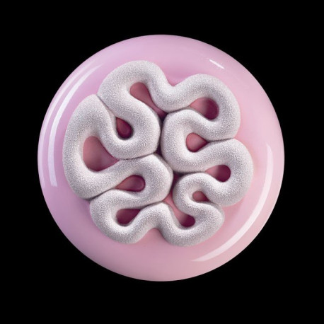 Moule silicone Top mini Jelly x2 Pavoni