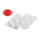 Moule silicone Savarins Promise x6 - Silikomart Pro