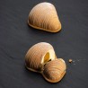 Moule silicone Sfogliatella 3D x12 Pavoflex - Pavoni Italia