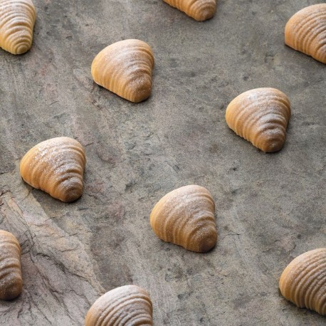 Moule silicone Sfogliatella 3D x30 Pavoflex