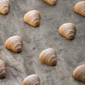 Moule silicone Sfogliatella 3D x30 Pavoflex - Pavoni Italia