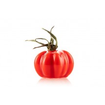 Moule tomate - Silikomart professionnal