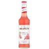 Sirop Bubble Gum 70cl - Monin