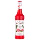 Sirop de pamplemousse rose 70cl - Monin