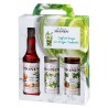 Coffret sirop cocktail Virgin x3 - Monin