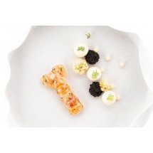 Moule Scampo Naturae Silikomart Professional