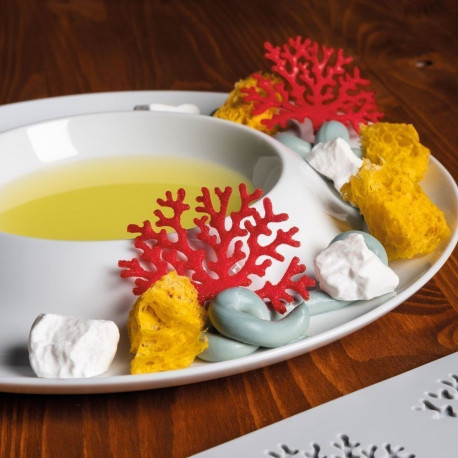 Moule Coral Gourmand Pavoni Italia