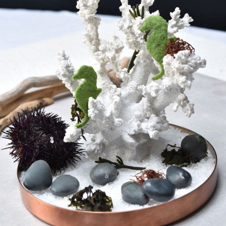 Moule Stone Gourmand Pavoni Italia