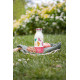 Gourde MB Cooly Rose Oiseaux - Monbento