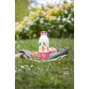 Gourde MB Cooly Rose Oiseaux - Monbento