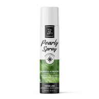 Spray Colorant Vert Citron Métallisé Pro 250ml - Via Delle Arti