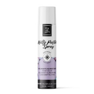 Spray Colorant Lilas Mat Pro 250ml - Via Delle Arti
