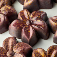 Moule Chocolat Flora 3,8 x 1,2 cm (x24) - Pavoni