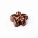 fleur en chocolat Flora