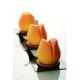 Moule silicone Tulip x20 Pavoflex Pavoni Italia