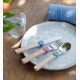 Le Petit Gourmet Opinel