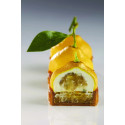 Moule mini Tarte Citron Cedric Grolet Pavoni