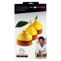 Moule mini Tarte Citron Cedric Grolet Pavoni