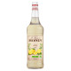 DDM Dépassée Sirop citron BIO 1L - Monin