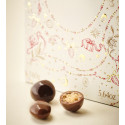 Assortiment chocolat
