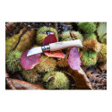 Opinel Made in France