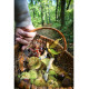 Couteau en Inox et Bois