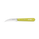 Couteau à Légumes en Inox