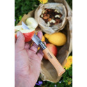 Opinel Collection Baroudeur