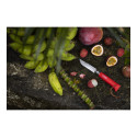Opinel Garantie à Vie