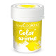 DDM Dépassée Color'arôme jaune / citron 10g - ScrapCooking