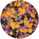vermicelle Halloween