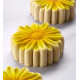 Moule Fleur