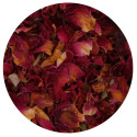  Mélange de fleurs séchées déco - Mirontaine