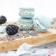  Colorant artificiel en poudre bleu pastel 5g - ScrapCooking