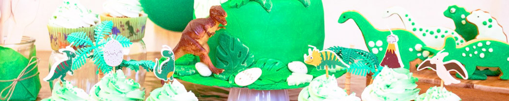 Anniversaires enfants